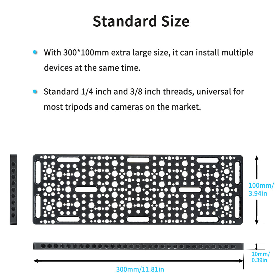 INNOREL CP3010 Multi-Functional Cheese Plate 10*30CM