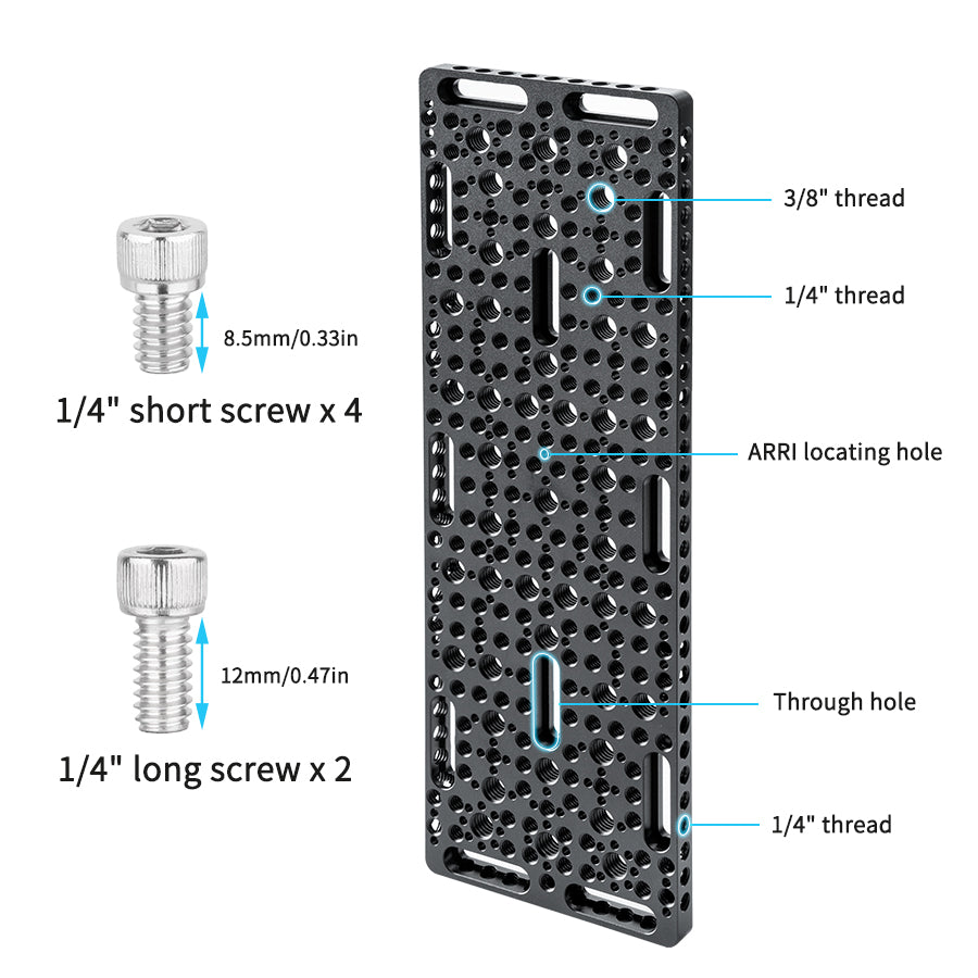 INNOREL CP3010 Multi-Functional Cheese Plate 10*30CM