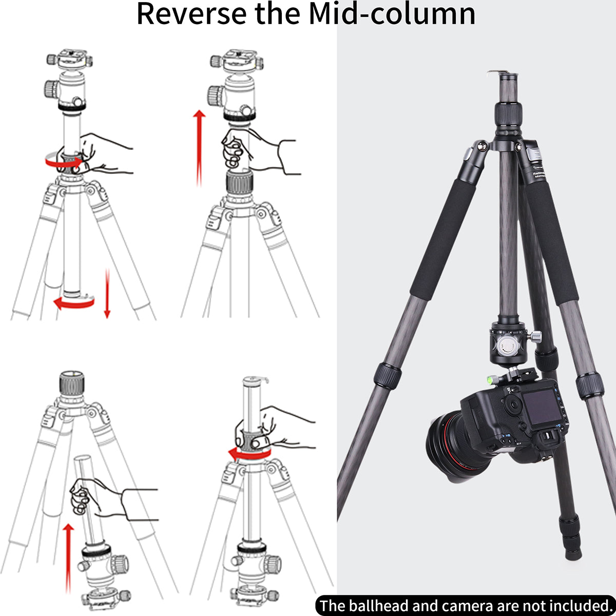 Carbon Fiber Camera Tripod Monopod INNOREL RT75C