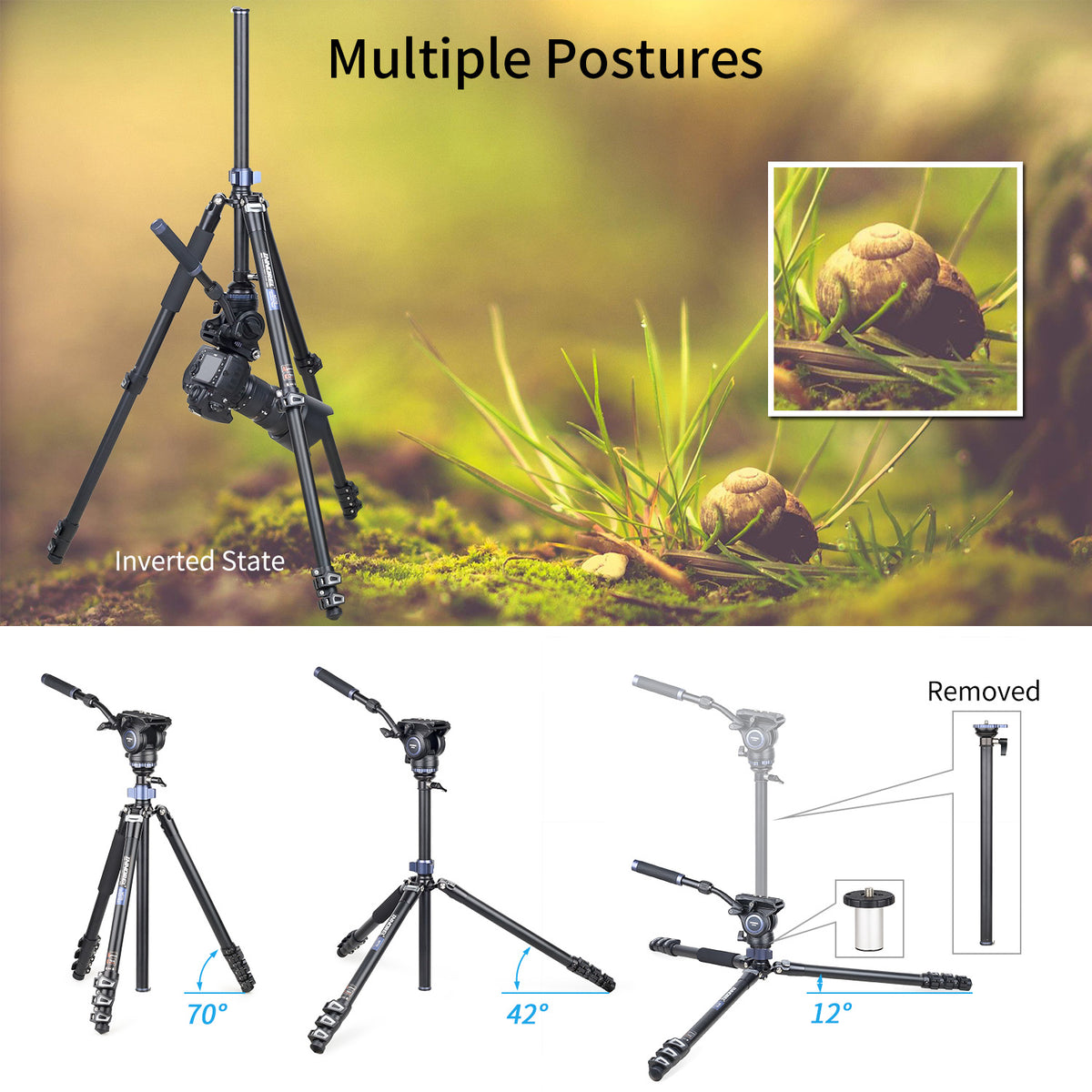 Professional Multifunctional Video Tripod INNOREL MT70