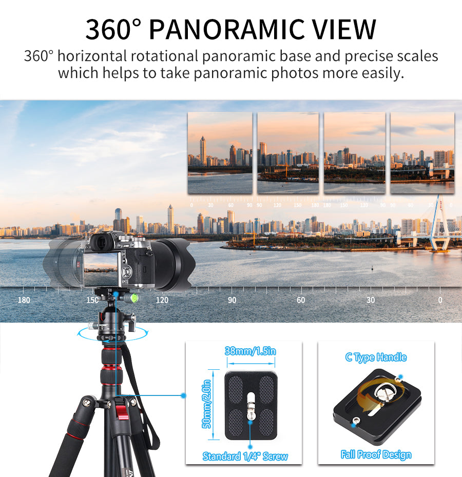 D36 Low Profile Ball Head 36mm