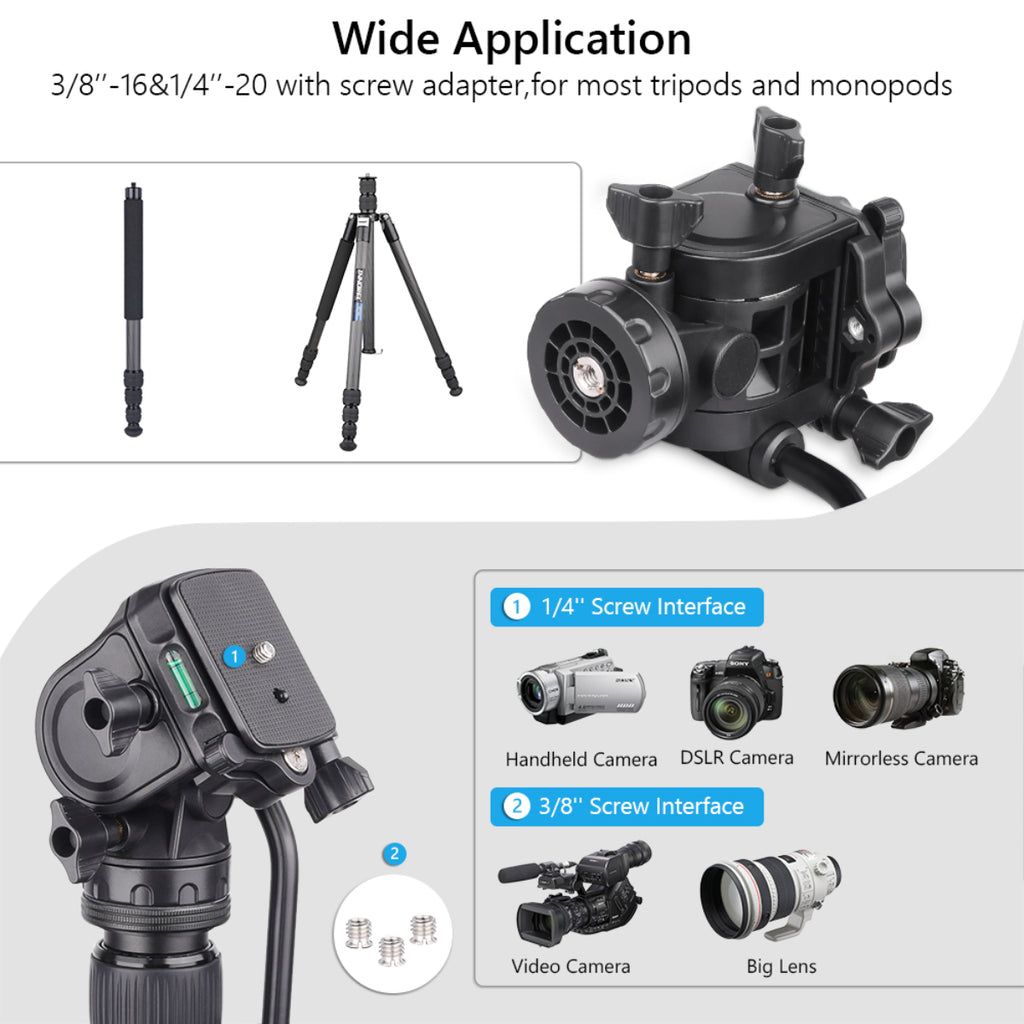 3/8"-16 1/4"-20 with screw adapter for most tripods and monopods