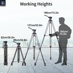 Max Height 175/186cm Folded Length 81/92cm