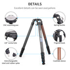 INNOREL ST344C is equipped with CNC mounting pan extra screw hole screw-in rubber spikes cowhide sleeve and stainless steel spikes