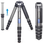 INNOREL carbon fiber KT405C compact travel tripod