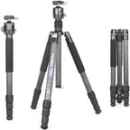 INNOREL RT85C carbon fiber lightweight travel tripod with N44 ball head for digital DSLR camera