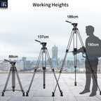 max height is 68.1in 173cm