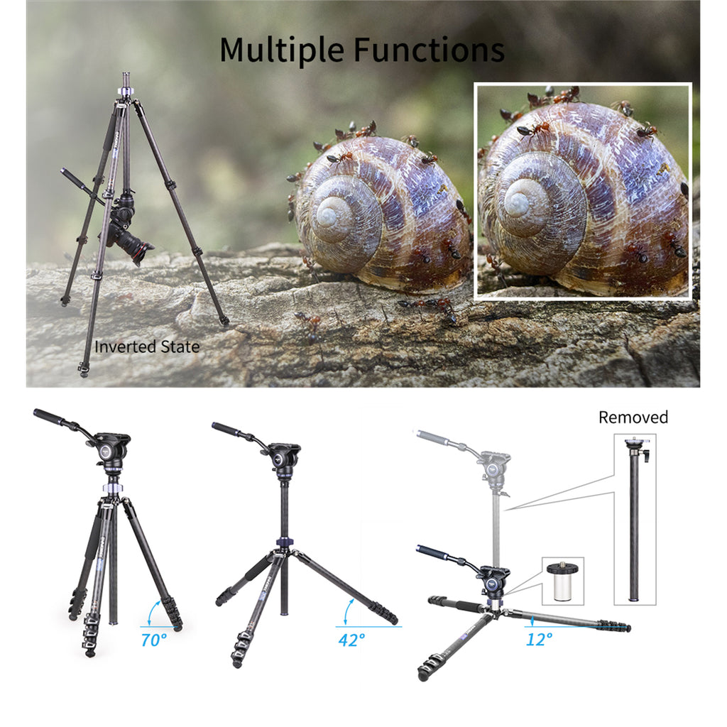 MT70C tripod can adjust multiple shooting angles