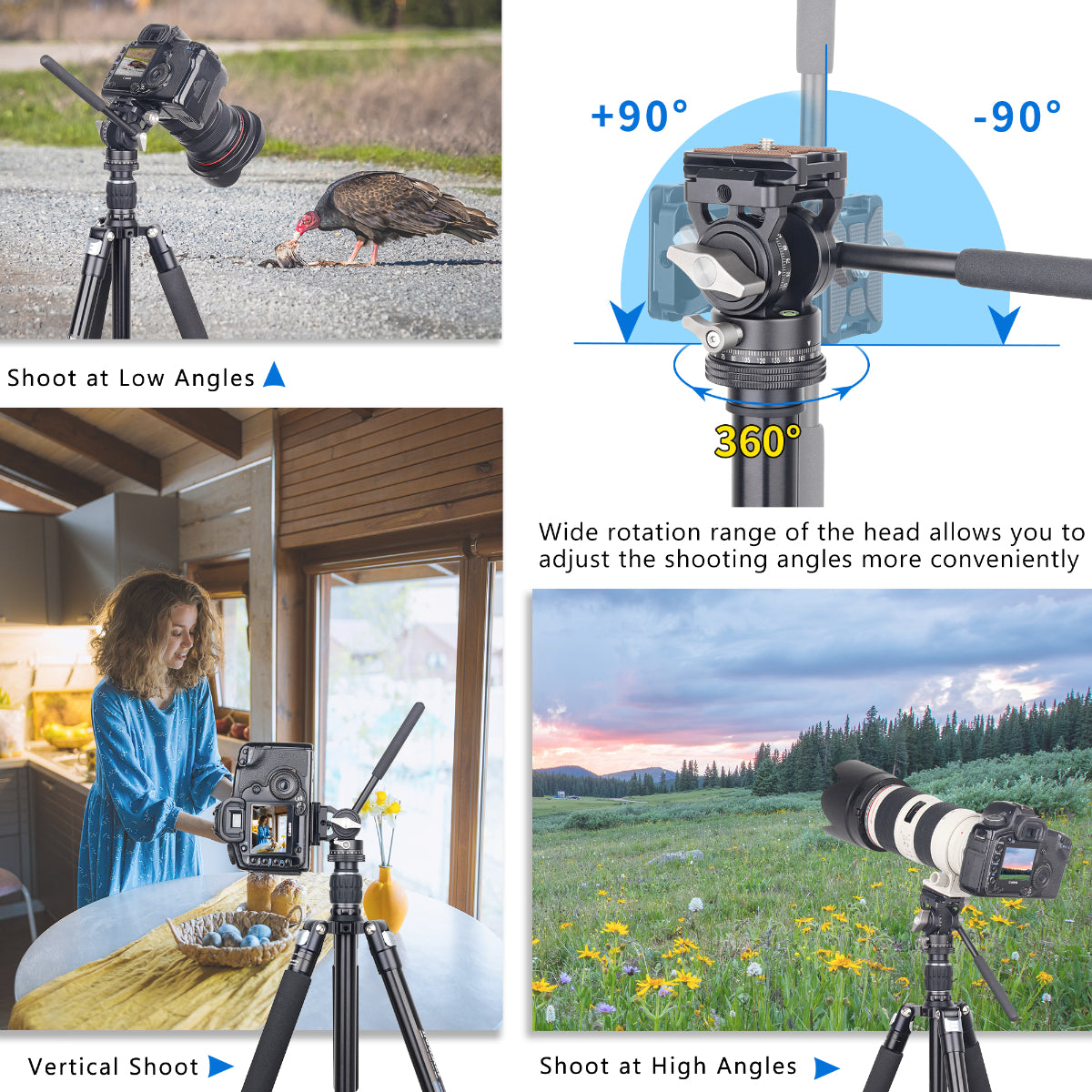 Aluminum Alloy Travel Tripod INNOREL RT45A Series