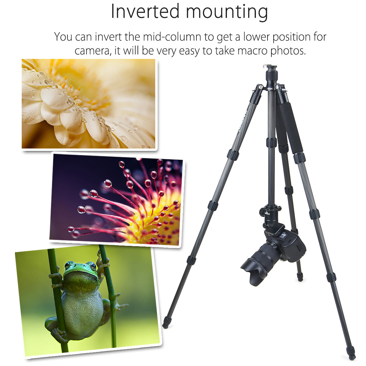 After inverting the central axis, the RT50C tripod can achieve macro photography