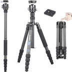 INNOREL RT55C professional carbon fiber tripod with N36 low profile ball head