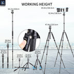 With N36 ballhead, RT55C tripod extends from 37.5cm to full 158.5cm working height, and the max height of monopod is 163cm.