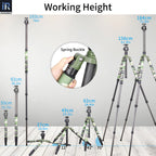 With N44 ballhead, RT85CG tripod extends from 27cm to full 184cm working height, and the max height of monopod is 193cm.