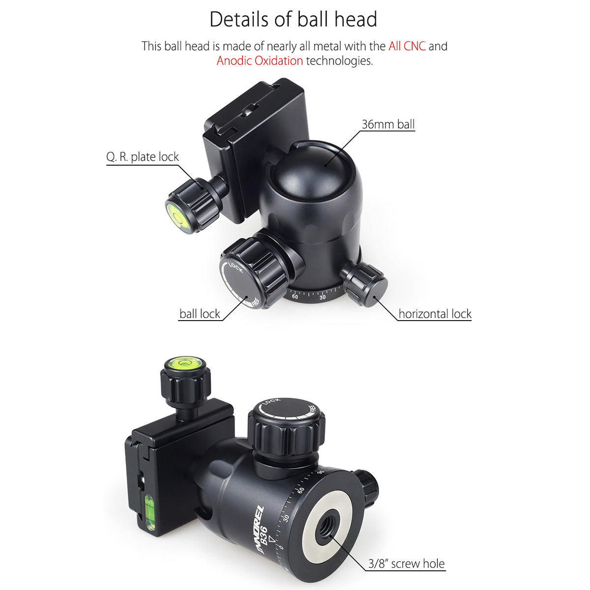 36mm B36 ballhead with arca swiss quick release plate